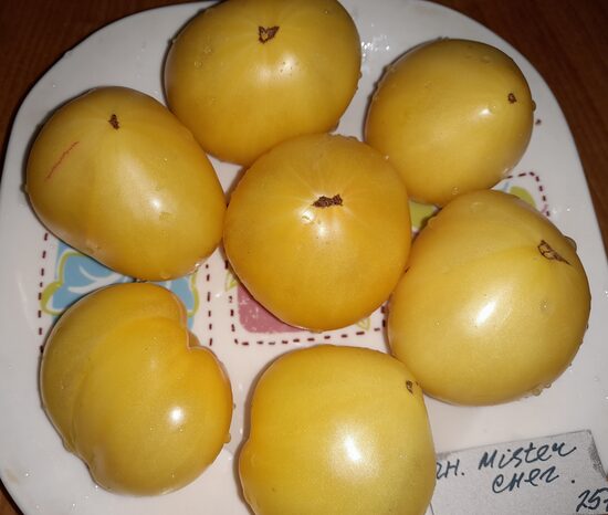 Гном Мистер Снег